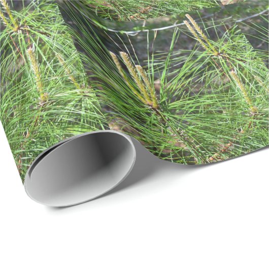 Pine Needles van Kenneth Yoncich Cadeaupapier (Rol Hoek)