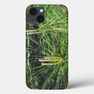 Pine Needles van Kenneth Yoncich iPhone 13 Hoesje