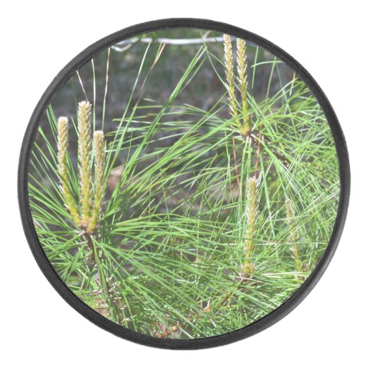 Pine Needles van Kenneth Yoncich Hockey Puck (Voorkant)