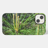 Pine Needles van Kenneth Yoncich iPhone Hoesje (Achterkant horizontaal)