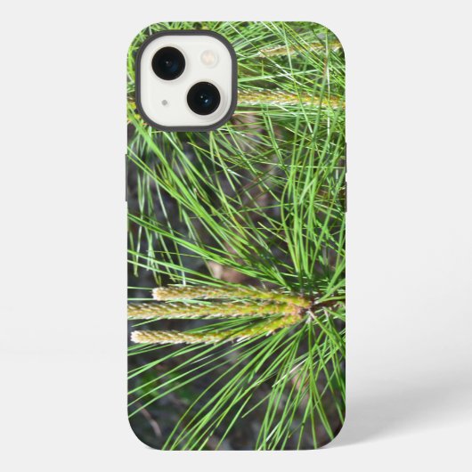 Pine Needles van Kenneth Yoncich iPhone Hoesje (Achterkant)