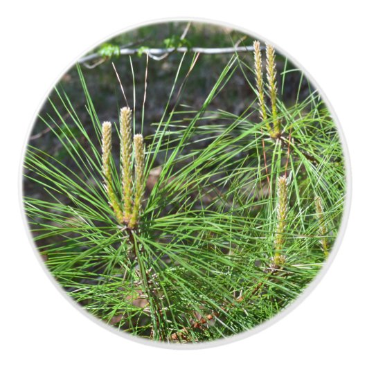 Pine Needles van Kenneth Yoncich Keramische Knop (Voorkant)