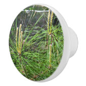 Pine Needles van Kenneth Yoncich Keramische Knop (Rechts)