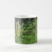 Pine Needles van Kenneth Yoncich Koffiemok (Center)