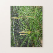 Pine Needles van Kenneth Yoncich Legpuzzel (Verticaal)