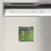 Pine Needles van Kenneth Yoncich Magneet (Insitu (Vaatwasser))