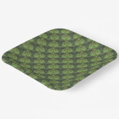 Pine Needles van Kenneth Yoncich Papieren Bordje (Gebogen)