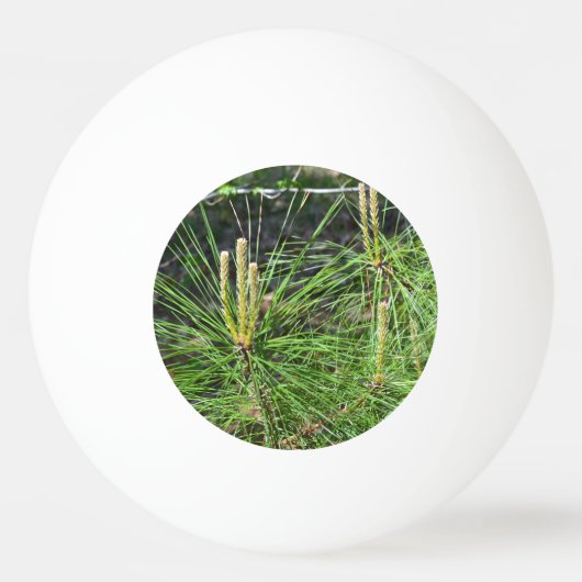 Pine Needles van Kenneth Yoncich Pingpongbal (Voorkant)