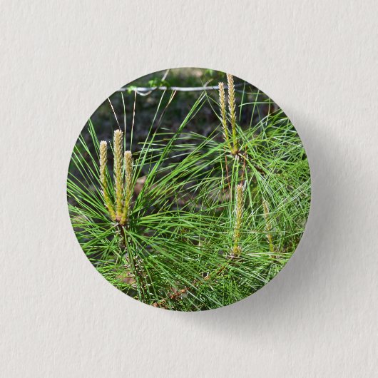 Pine Needles van Kenneth Yoncich Ronde Button 3,2 Cm (Voorkant)