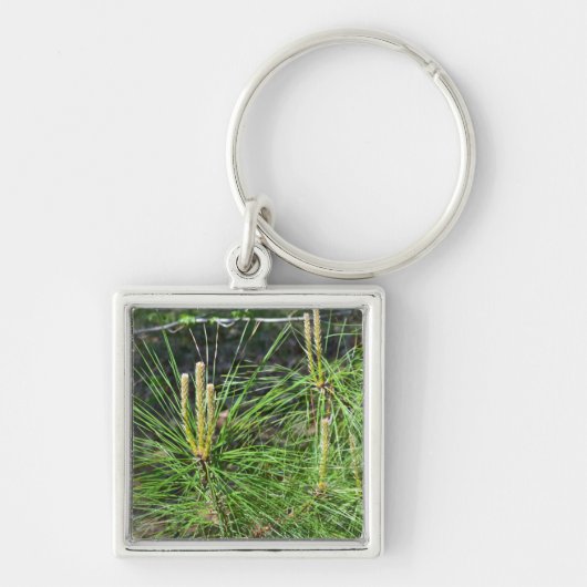 Pine Needles van Kenneth Yoncich Sleutelhanger (Voorkant)