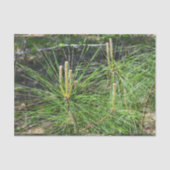 Pine Needles van Kenneth Yoncich Tissuepapier (Voorkant)