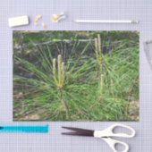 Pine Needles van Kenneth Yoncich Tissuepapier (Craft)