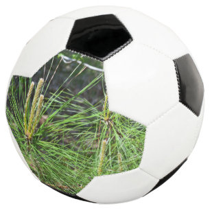 Pine Needles van Kenneth Yoncich Voetbal