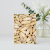 Pine Nuts - Pignole Briefkaart (Staand voorkant)