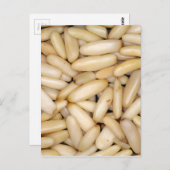 Pine Nuts - Pignole Briefkaart (Voorkant / Achterkant)