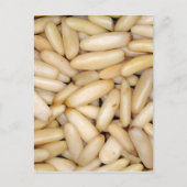 Pine Nuts - Pignole Briefkaart (Voorkant)