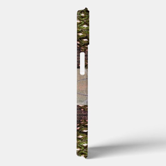 Pine Phone Case-Mate iPhone Case (Achterkant / Rechts)