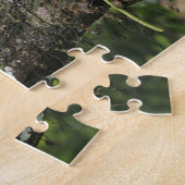 Pine Pink, Bletia purpurea, bloeiend op Mango Legpuzzel (Zijkant)