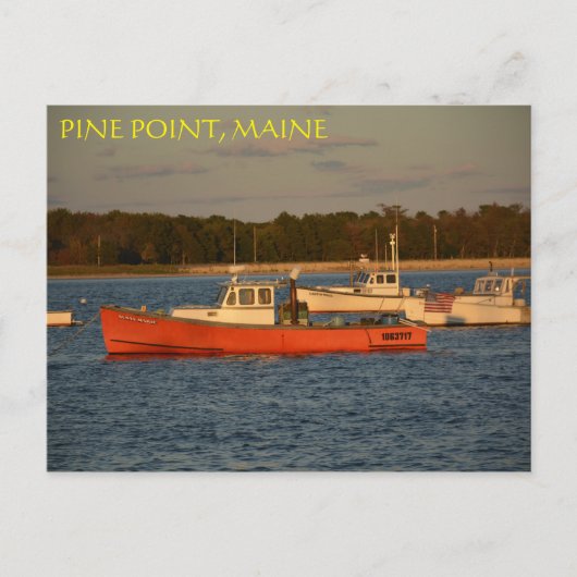 Pine Point, Maine Briefkaart (Voorkant)