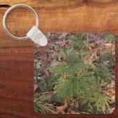 Pine Sapling Keychain Nature-Inspired Gift (Voorkant)