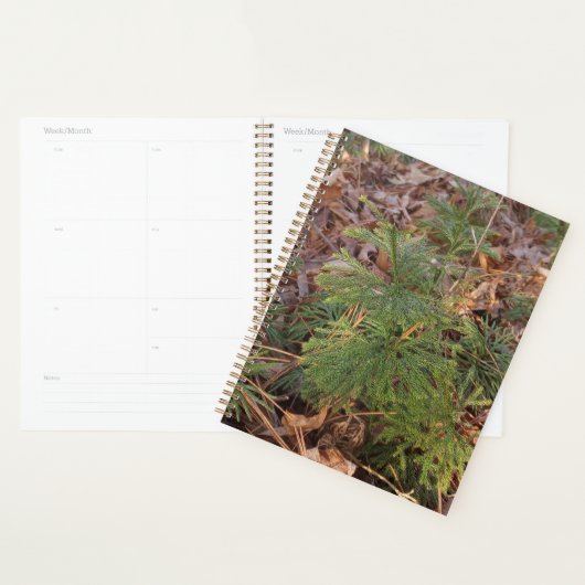 Pine Sapling Spiral Planner (Display)
