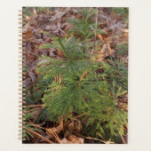 Pine Sapling Spiral Planner (Voorkant)