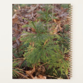 Pine Sapling Spiral Planner (Achterkant)
