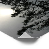 Pine Silhouette Cloudy Sun Fotografie Poster (Hoek)