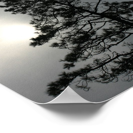 Pine Silhouette Cloudy Sun Fotografie Poster (Hoek)