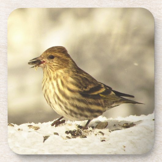 Pine Siskin Drankjes Onderzetter (Voorkant)