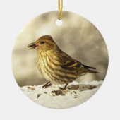 Pine Siskin Keramisch Ornament (Voorkant)