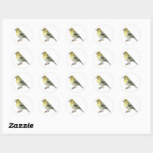 Pine Siskin Songbird Stickers (Vel)