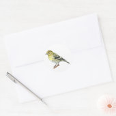 Pine Siskin Songbird Stickers (Envelop)