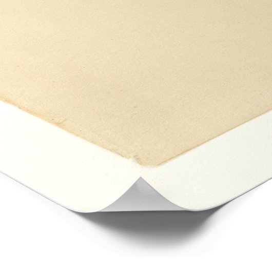 Pine Swamp Warbler Poster (Hoek)