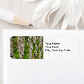 Pine Tree Bark Met Mos retour adres label (Insitu)
