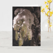 Pine Tree Branch, gedekt in sneeuwblanco feestdag Kaart (Gele Bloem)