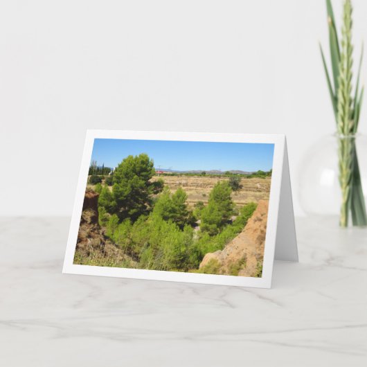 Pine tree canyon landschap kaart (Voorkant)