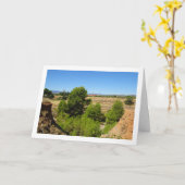 Pine tree canyon landschap kaart (Gele Bloem)