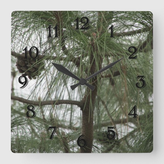 Pine Tree Clock Vierkante Klok (Voorkant)