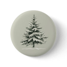 Pine Tree Covered with snow