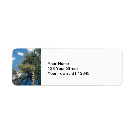 Pine Tree Etiket (Voorkant)