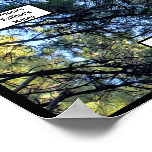 Pine Tree Forest Foto 2 Family Trees Poster (Hoek)