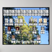 Pine Tree Forest Foto 2 Family Trees Poster (Voorkant)