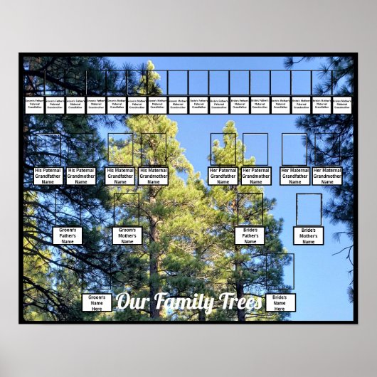 Pine Tree Forest Foto 2 Family Trees Poster (Voorkant)