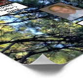 Pine Tree Forest Foto 2 Family Trees Poster (Hoek)