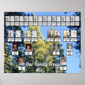 Pine Tree Forest Foto 2 Family Trees Poster (Voorkant)