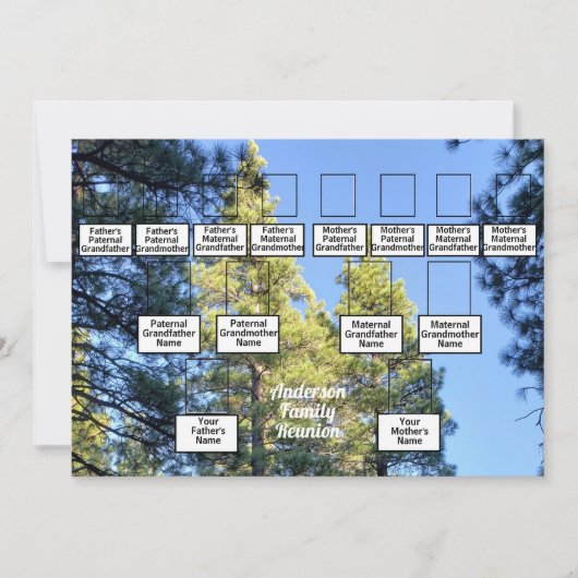 Pine Tree Forest Foto 3 Generation Family Reunion Kaart (Voorkant)