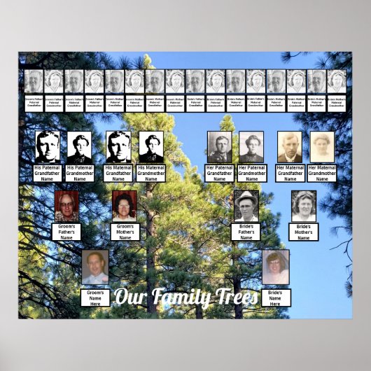 Pine Tree Forest Foto twee familiebomen Poster (Voorkant)