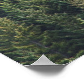 PINE TREE FOREST POSTER (Hoek)