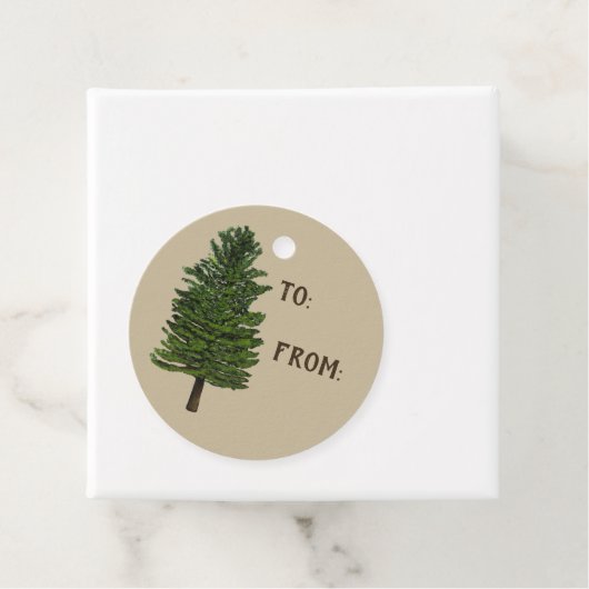 Pine Tree Gift Label (In situ)
